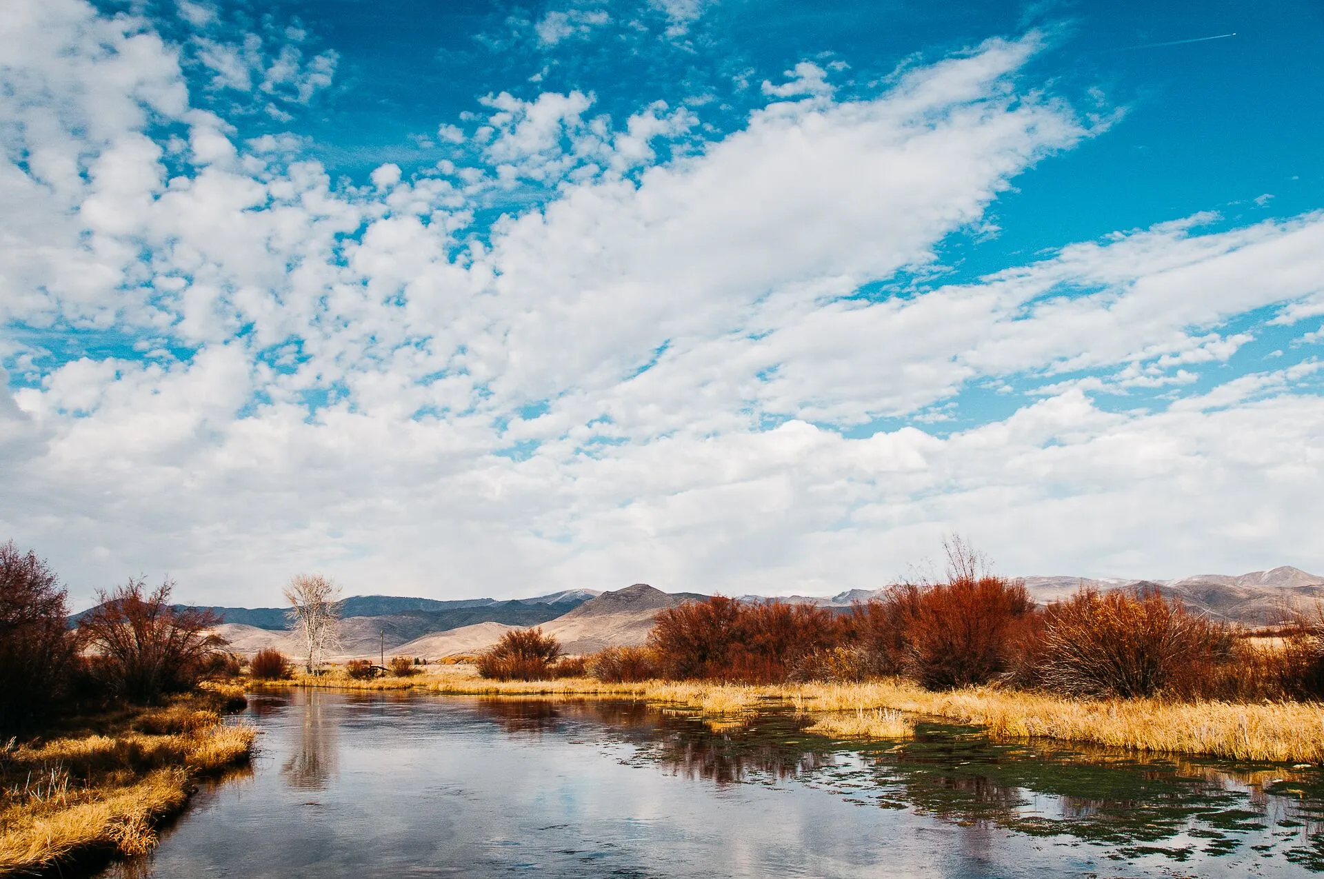 Silver Creek, at the base of the Picabo Hills.
